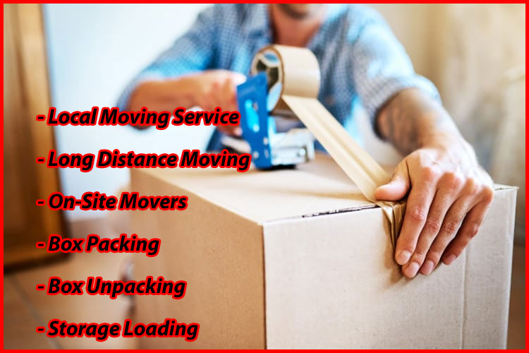 Packers And Movers Noida Sector 100